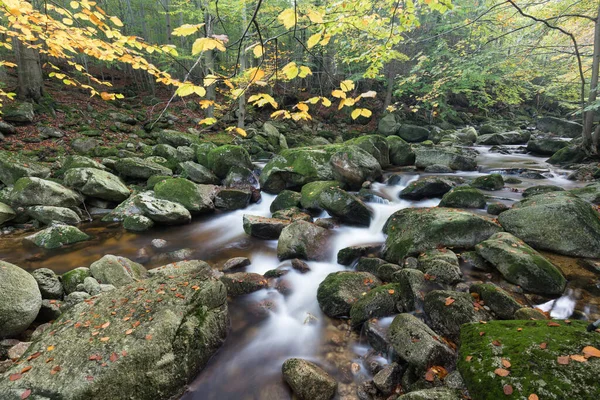 Autumn Fall Mountain Waterfall Stream Rocks Colorful Fallen Dry Leaves — Stock Photo, Image