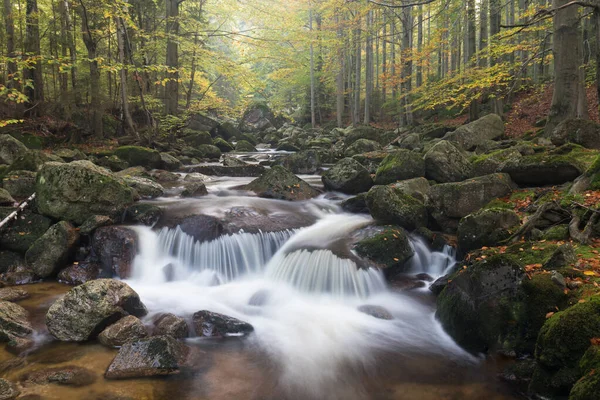 Autumn Fall Mountain Waterfall Stream Rocks Colorful Fallen Dry Leaves — Stock Photo, Image