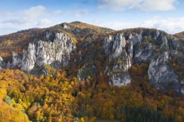 Slovakya 'nın Sulov kentindeki manzara, ormandaki ağaçlarda renkli yapraklar ve dağlardaki tuhaf sivri kayalar vadilerde hafif sis ve gökyüzünde dramatik bulutlar ile güzel sonbahar gündoğumu.