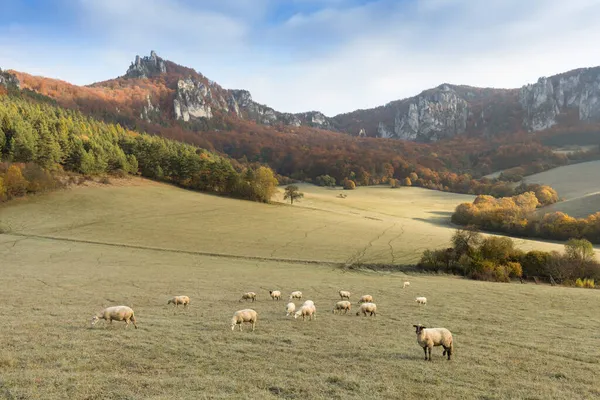 Γραφικό Τοπίο Στο Sulov Σλοβακία Την Όμορφη Ανατολή Του Φθινοπώρου — Φωτογραφία Αρχείου