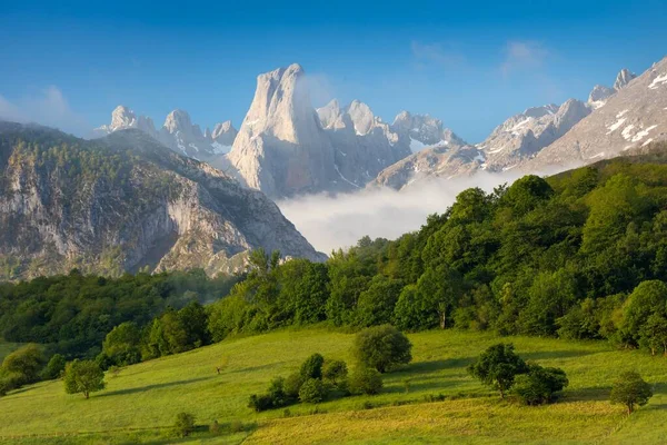 Picos Europa Sono Una Catena Montuosa Che Estende Circa Parte — Foto Stock