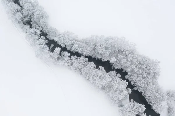 Widok Lotu Ptaka Śnieżne Drzewa Mały Zakrzywiony Strumień Boże Narodzenie — Zdjęcie stockowe