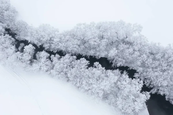 Vista Aérea Árboles Nevados Pequeño Arroyo Sinuoso Con Curvas Navidad — Foto de Stock