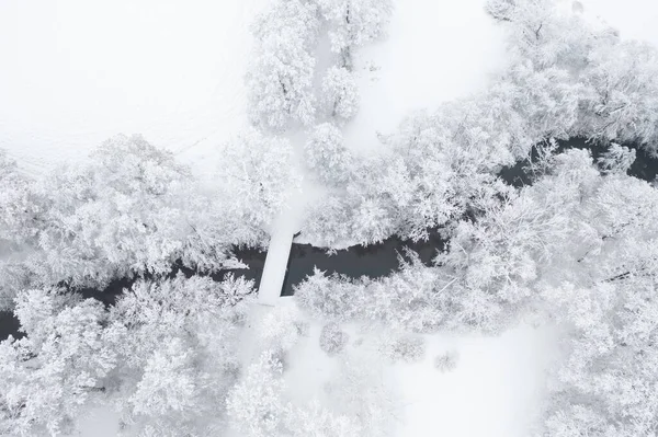 Letecký Pohled Zasněžené Stromy Malý Křivolaký Točitý Potůček Vánoce Zimní — Stock fotografie