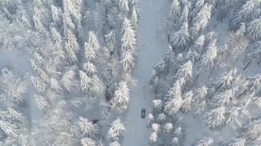 Kuzeydeki ladin ormanı, güzel bir hava manzarası. İnanılmaz kış sahnesi. Noel teması. Kış dönemi. Kış ormanı hava manzarası. İnanılmaz doğa manzarası.