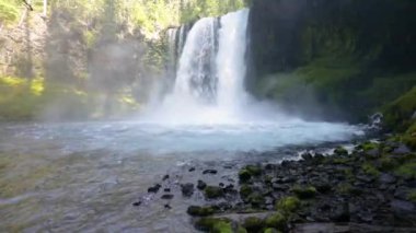Ormanda, doğa arka planında güzel bir şelale