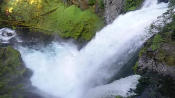 Hermosa Cascada Bosque Sobre Fondo Naturaleza — Vídeos de Stock