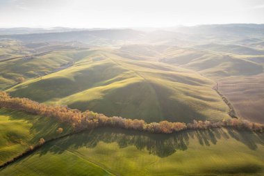 Toskana tepeleri. Selvi. Tepelerin dalgaları, yuvarlanan tepeler, Toskana 'daki yeşil arazili minimalist manzaralar. Val D 'orcia İtalya' nın Siena eyaletinde.
