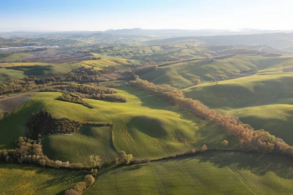 Toskana tepeleri. Selvi. Tepelerin dalgaları, yuvarlanan tepeler, Toskana 'daki yeşil arazili minimalist manzaralar. Val D 'orcia İtalya' nın Siena eyaletinde.