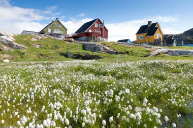 Greenland view of colorful houses in Ilulissat City and icefjord. Tourist destination in the arctic. Panoramic photo of typical Greenland village houses. Rodebay