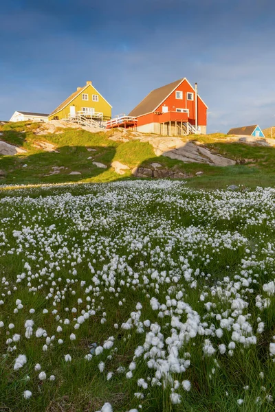 Greenland View Colorful Houses Ilulissat City Icefjord Tourist Destination Arctic — Stock Fotó