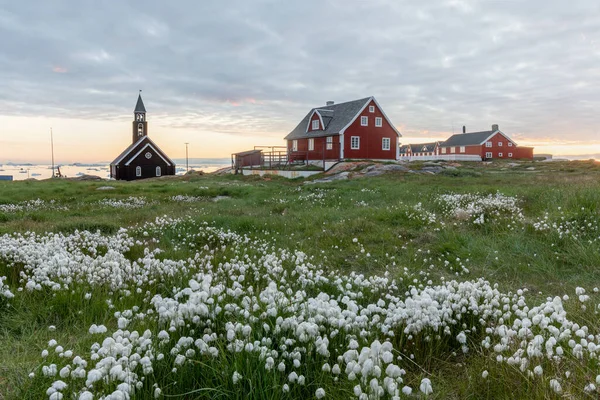 Гренландія Ілуліссат Сіонська Церква Заході Сонця Квітами Сонце Опівночі Гренландія — стокове фото