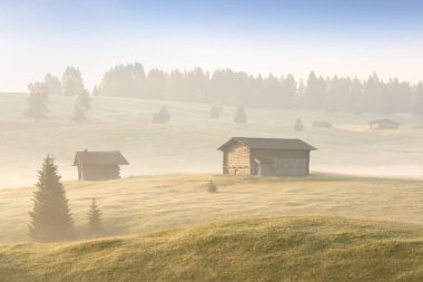 Alçak bulutlarla kaplanmış bir ormanın manzarası. Güneş ışınları. Sonbahar havası ve dağ vadilerinde sis. Kavramsal arka planda doğanın güzelliği. Evrensel kullanım.