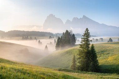 Alçak bulutlarla kaplanmış bir ormanın manzarası. Güneş ışınları. Sonbahar havası ve dağ vadilerinde sis. Kavramsal arka planda doğanın güzelliği. Evrensel kullanım.