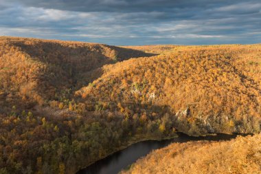 Thaya nehri yaz ya da sonbahar zamanı. Thayatal Vadisi, Ulusal Park, Çek Cumhuriyeti ve Aşağı Avusturya 'da güneşli bir gün. Nehrin en üst manzarası, kıvrımlı orman ve kıvrımları parlak.