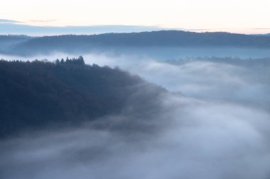Eski bir ladin ormanındaki sağlıklı yeşil ağaçlar, ulusal bir parkın vahşi doğasındaki parlak sarı güneş ışığıyla aydınlatılmış ağaçlar. Sürdürülebilir endüstri, ekosistem ve sağlıklı çevre kavramları. Hava görünümü