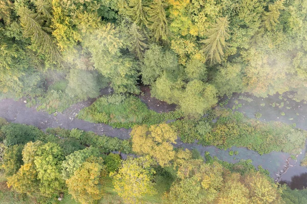 Ormanda Akan Bir Nehir Hava Görüntüsü Sonbahar Zamanı — Stok fotoğraf