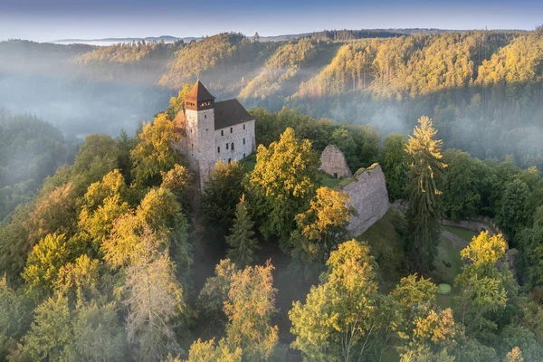 Historisch Kasteel Litice Bohemen Tsjechië Magische Zonsopgang Het Bos Fantasie — Stockfoto