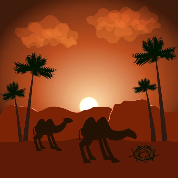 Vector background with camels — Stock Vector