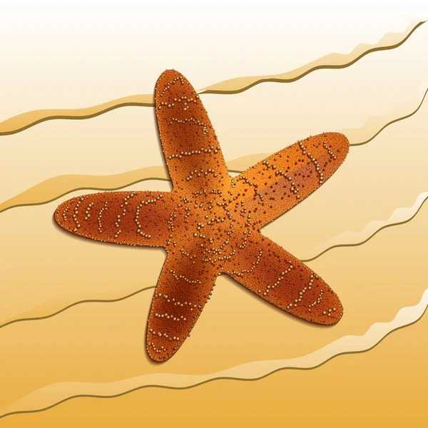 Ilustración de una estrella de mar — Archivo Imágenes Vectoriales