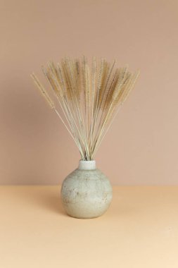Tek renkli kompozisyon seramik bir vazo bej renginde kuru çimen dikenleri