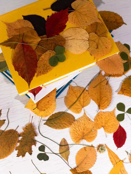 Herbarium Dry Autumn Leaves Stack Books Fall Background Pattern Composition — Stock Photo, Image