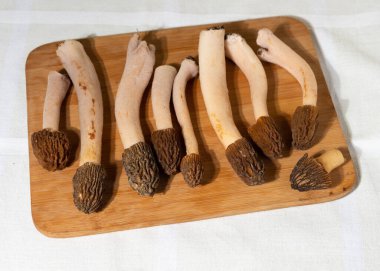 Yaban mantarı mı yoksa Morchella conica mı? Her çeşit vitamin ve mineralle dolular, yüksek miktarda antioksidan, düşük kalori, yüksek miktarda lif ve protein..