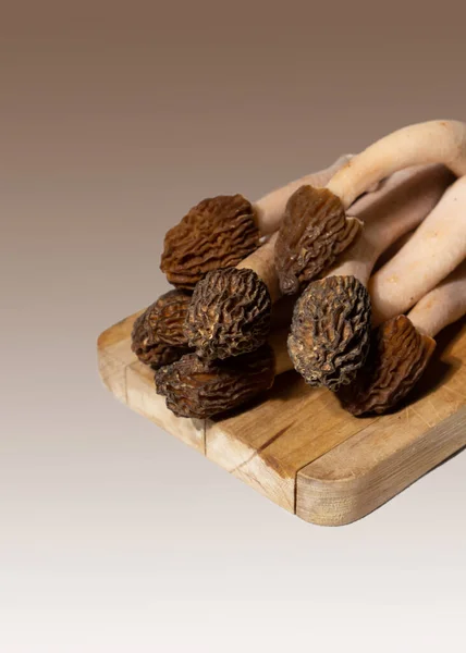 Spring wild morel mushrooms or Morchella conica. They are loaded with all kinds of vitamins and minerals, high in antioxidants, low in calories, and high in fiber and protein.