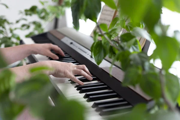 As mãos das mulheres tocam piano. As mãos congelaram nas chaves do sintetizador. Home music making, relaxamento. Design de interiores biofílicos. Muitas plantas de sala.. — Fotografia de Stock