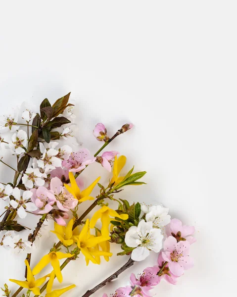 Bouquet Seasonal Spring Flowers Sprigs Blossoming Cherry Apricot Forsythia Muscari — Fotografia de Stock