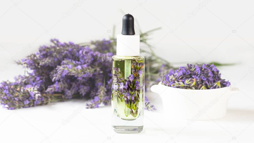 Glass bottle of Lavender essential oil with fresh lavender flowers and dried lavender seeds on white background, aromatherapy spa massage concept. Lavandula oleum. Banner.