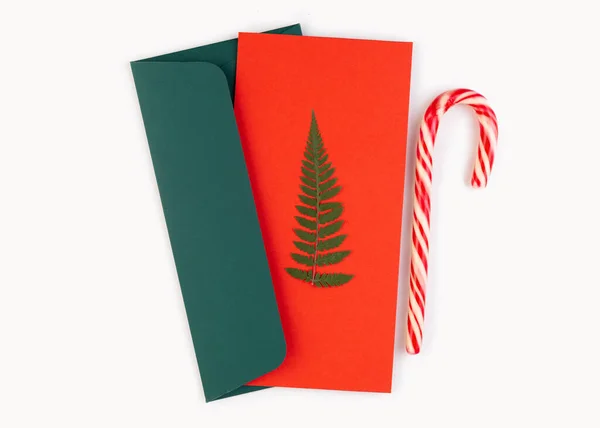 Christmas Tree Made Pressed Dried Fern Leaves Red Postcard Green — ストック写真