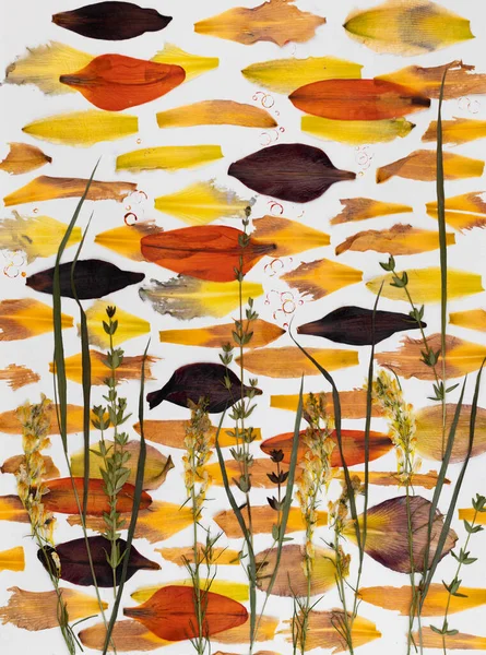 Contemporary botanical art of pressed flowers. Wrong. Marine Composition of dried plants in boho style. Poster idea for interior design. School of fish in the red sea