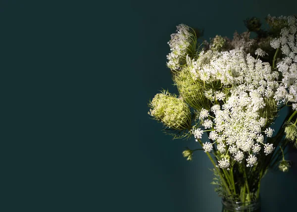Daucus carota beyaz kır çiçekleri yeşil arka planda cam bir vazoda şişkinlik oluşturur. Seçici odak