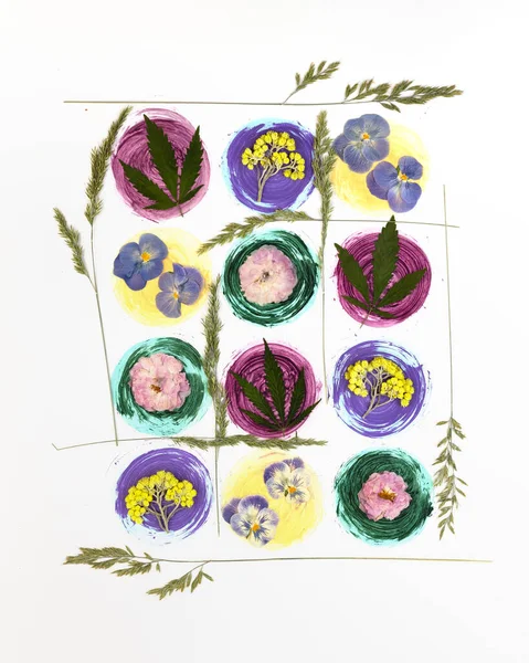 Modern botanical pressed flower art. Pressed floristry Oshibana in the boho style. Drawn watercolor multicolored balls and dried plants on a white background. Poster idea for interior design.