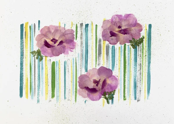 Modern botanical pressed flower art. Pressed floristry Oshibana in the boho style. Drawn watercolor strips and dry rose petals in shape of peonies on a white background. Poster idea for interior