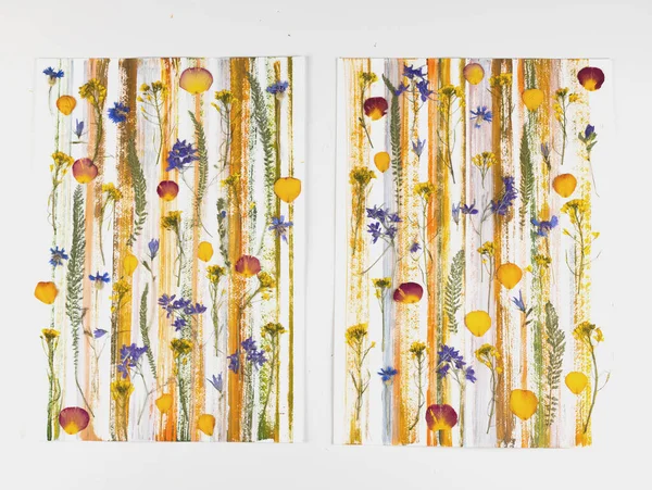 Contemporary botanical art of pressed flowers. Oshibana. Geometrical Composition of dried plants in boho style. Poster idea for interior design. Different color line of acrylic paint. Diptych.