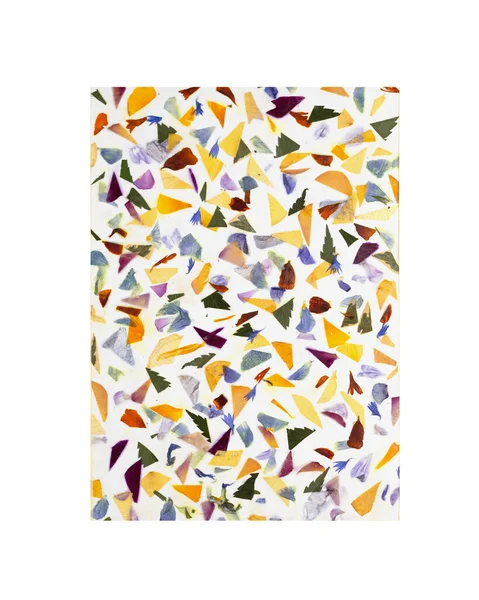 Contemporary botanical art of pressed flowers. Oshibana. Geometrical Composition of dried plants in memphis style. Dried flower petals imitate terrazzo pattern. Poster idea for interior design.