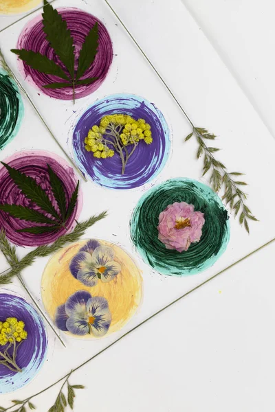 Modern botanical pressed flower art. Pressed floristry Oshibana in the boho style. Drawn watercolor multicolored balls and dried plants on a white background. Poster idea for interior design.