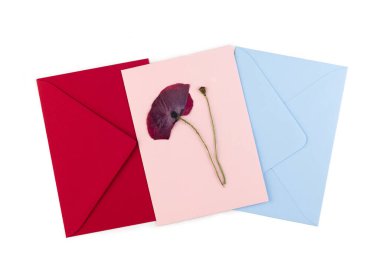 A dried pressed flower red postcard and blue and pink envelopes. Handmade greeting card in oshibana technique. Top view.