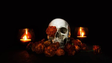 Skull, Burning candles and orange marigold flowers on black background. Concept of Dia de los muertos day or day of the dead. Dark halloween banner.