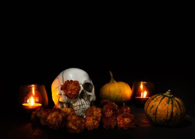 Skull, Burning candles and orange marigold flowers on black background. Concept of Dia de los muertos day or day of the dead. Dark halloween banner.