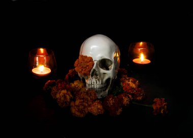 Skull, Burning candles and orange marigold flowers on black background. Concept of Dia de los muertos day or day of the dead. Dark halloween banner.