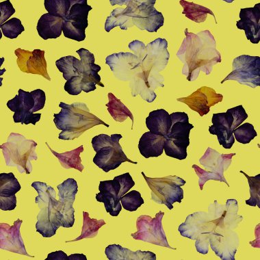 Kusursuz çiçek deseni. Sarı arka planda çeşitli kurutulmuş çiçek grupları. Kumaş ve ambalaj kağıdı üzerine baskı yapmak için tasarlandı.