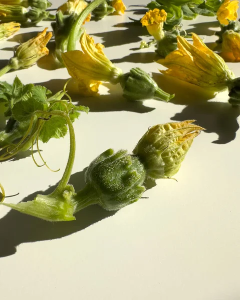 Fresh yellow flowers of a small decorative pumpkin. Fried pumpkin flower as summer appetizers.