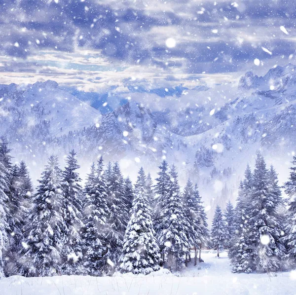 Boże Narodzenie Tło Śnieżnymi Jodłami Górami Ciężkiej Zamieci — Zdjęcie stockowe