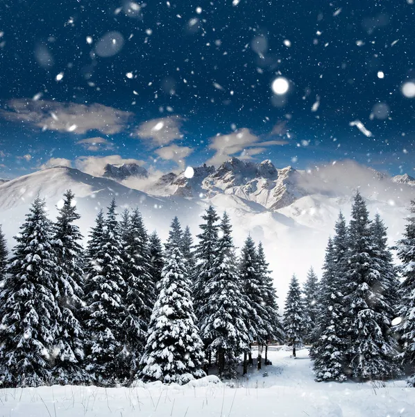 Scenic Karácsonyi Háttér Havas Fenyő Fák Alatt Nehéz Hóvihar — Stock Fotó