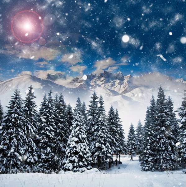 Scenic Kerstachtergrond Met Besneeuwde Dennenbomen Tijdens Zware Sneeuwstorm — Stockfoto