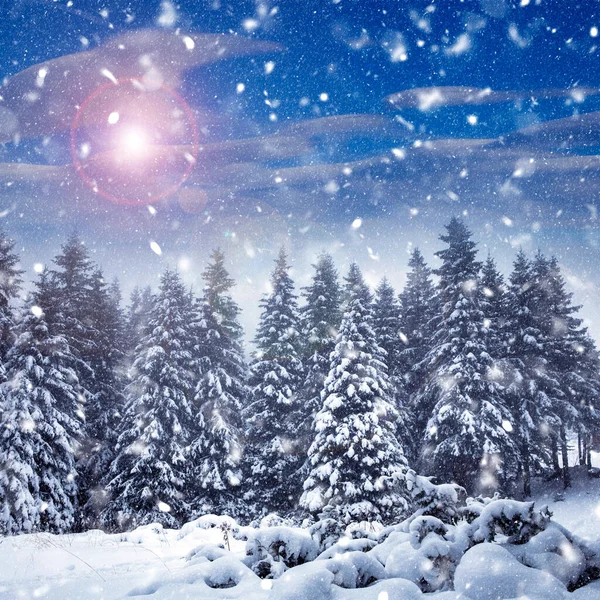 Scenic Kerstachtergrond Met Besneeuwde Dennenbomen Tijdens Zware Sneeuwstorm — Stockfoto
