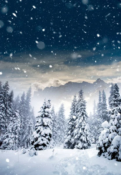 Boże Narodzenie Tło Śnieżnymi Jodłami Górami Ciężkiej Zamieci — Zdjęcie stockowe